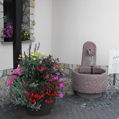 Landhotel Villa Moritz Garni Oberahr Экстерьер фото